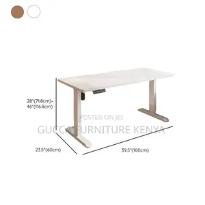 1.2 Meters Height Adjustable Electric Office Desk
