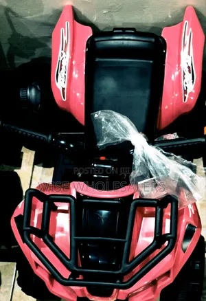 Electric Atv Quad Bike