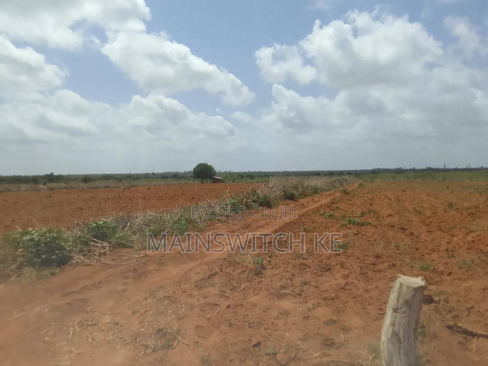 50 Acres Parcel Going For Only 100,000 Per Acre