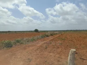 50 Acres Parcel Going For Only 100,000 Per Acre