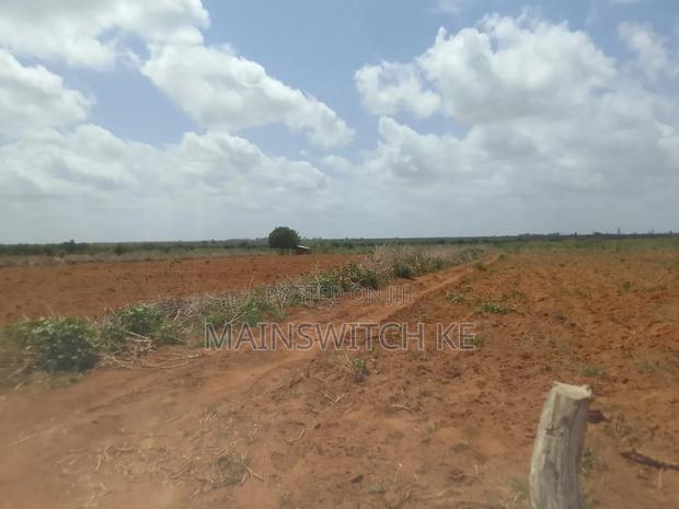 50 Acres Parcel Going For Only 100,000 Per Acre - thumbnail 2