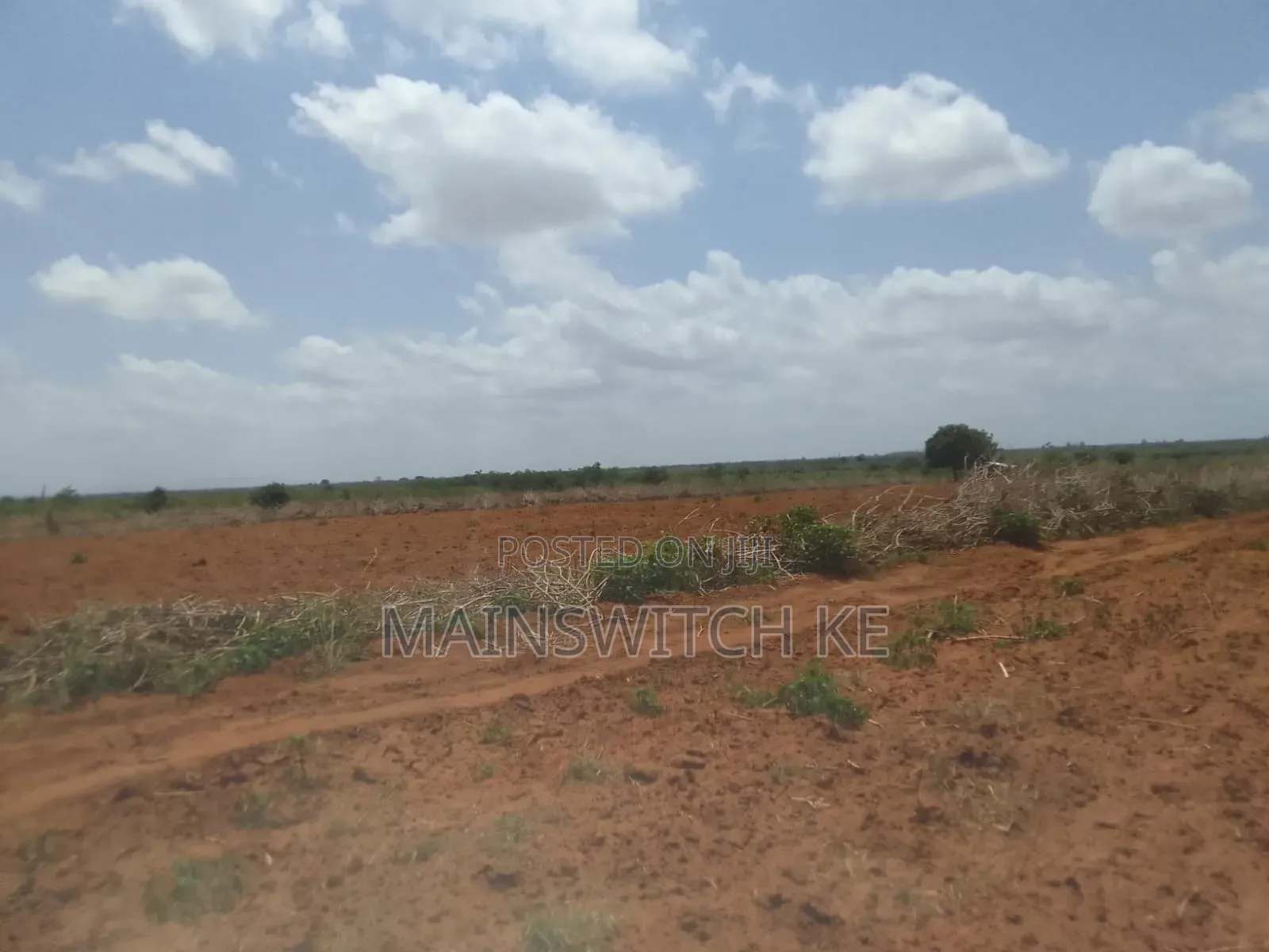 50 Acres Parcel Going For Only 100,000 Per Acre