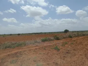 50 Acres Parcel Going For Only 100,000 Per Acre