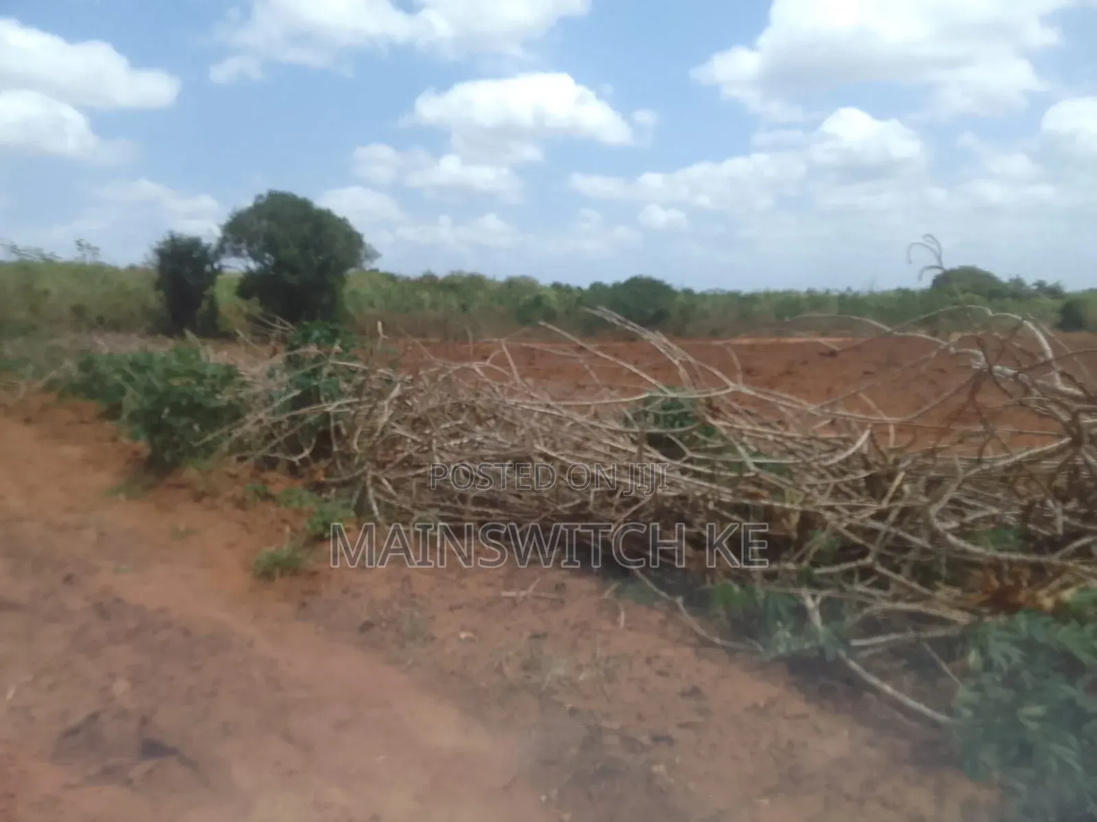50 Acres Parcel Going For Only 100,000 Per Acre