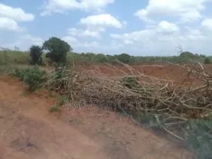 50 Acres Parcel Going For Only 100,000 Per Acre