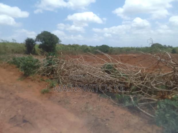 50 Acres Parcel Going For Only 100,000 Per Acre - thumbnail 4