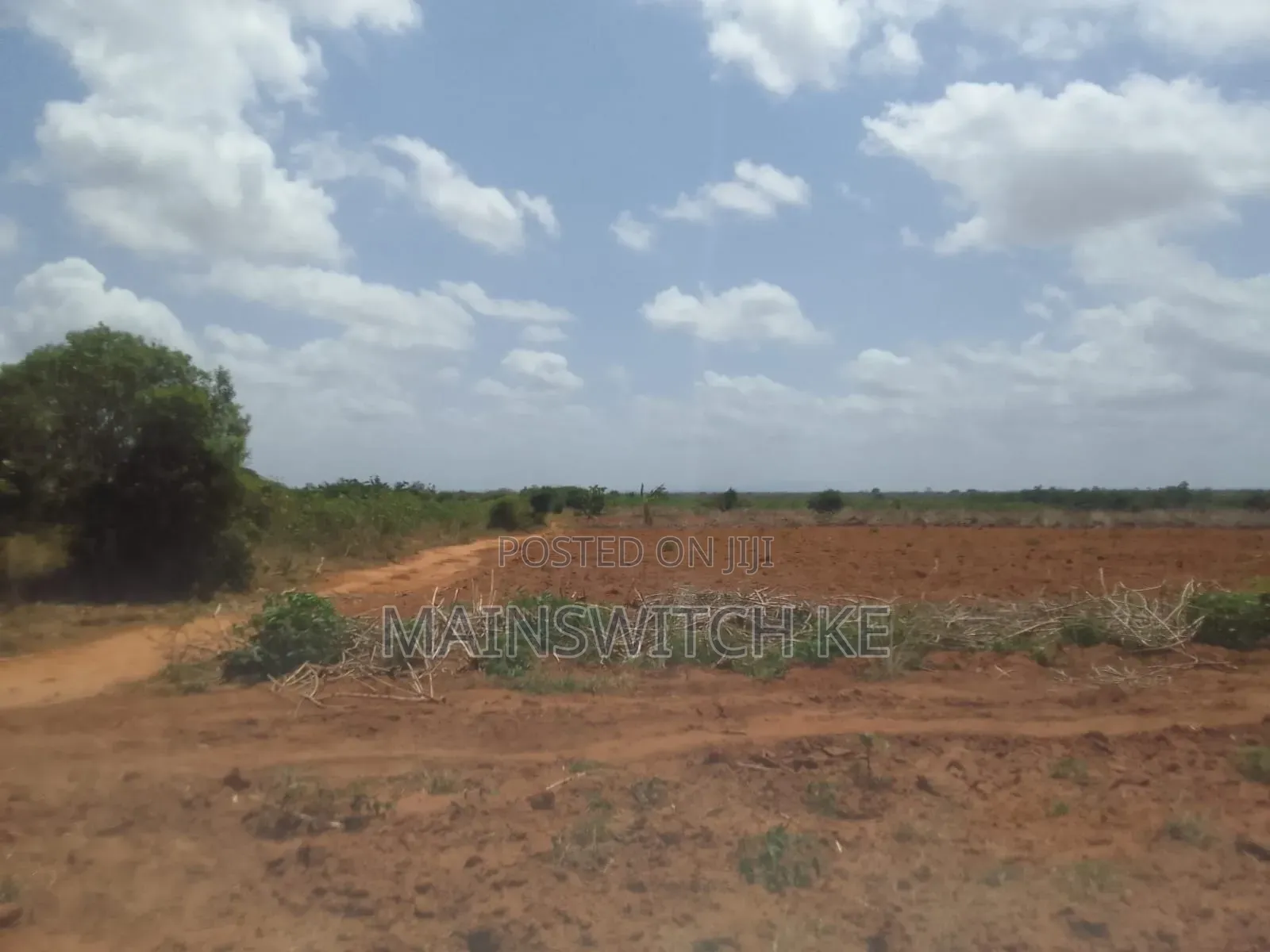 50 Acres Parcel Going For Only 100,000 Per Acre