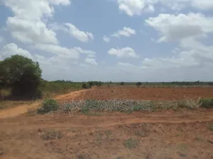 50 Acres Parcel Going For Only 100,000 Per Acre