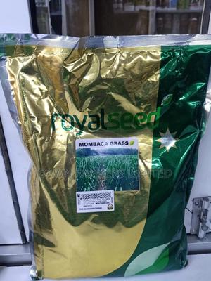 Mombaca Grass 1kg - main view