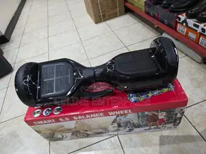 Self-Balancing Hoverboard