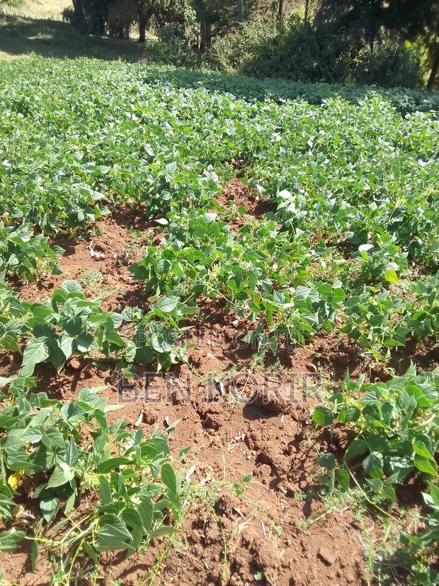 Land For Sale - thumbnail 3