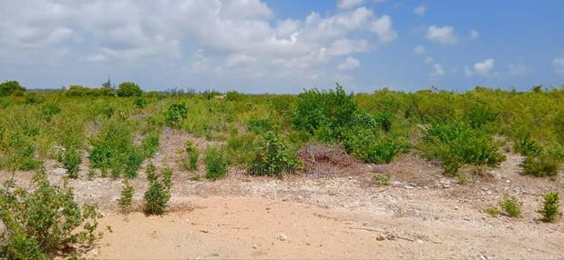 12 Acres in Watamu Sold From Per Acre - thumbnail 4