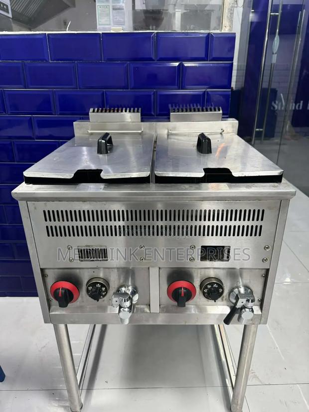 Commercial Imported 20 Litres Double Fryer
