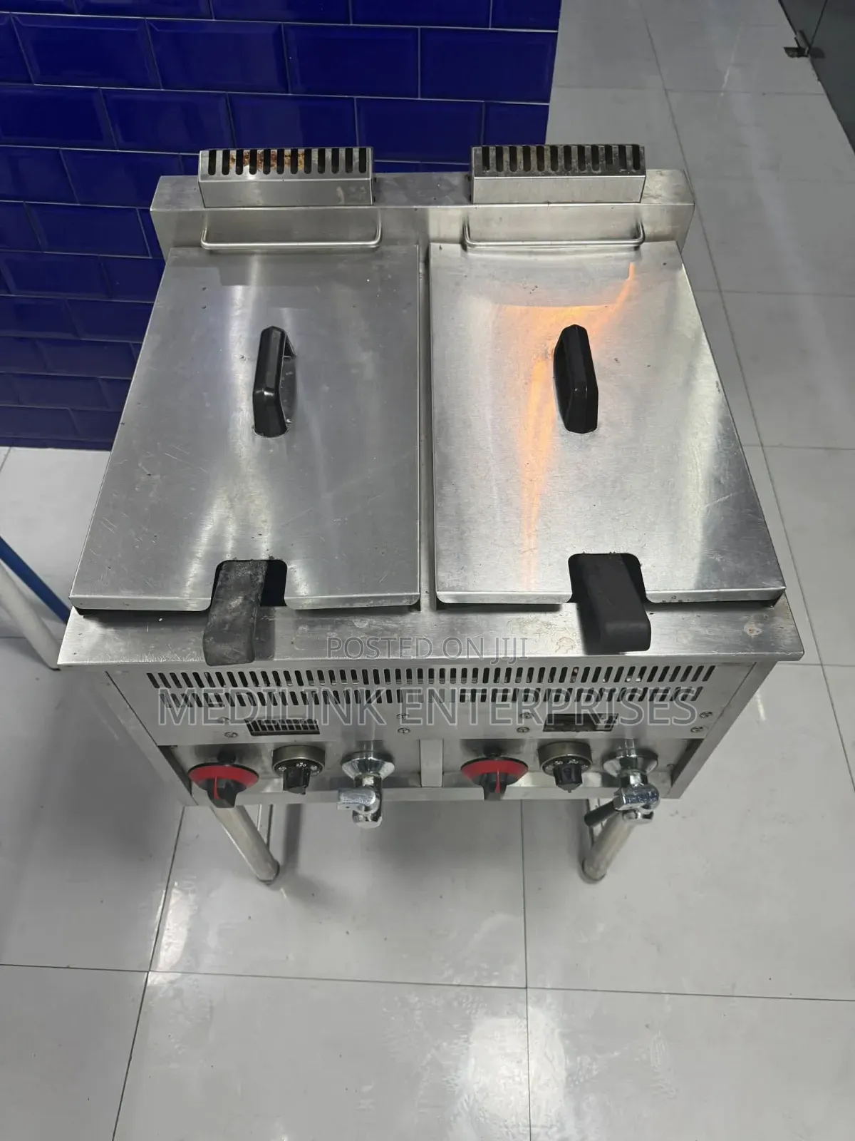 Carcinoma Stainless Imported Commercial Fryers