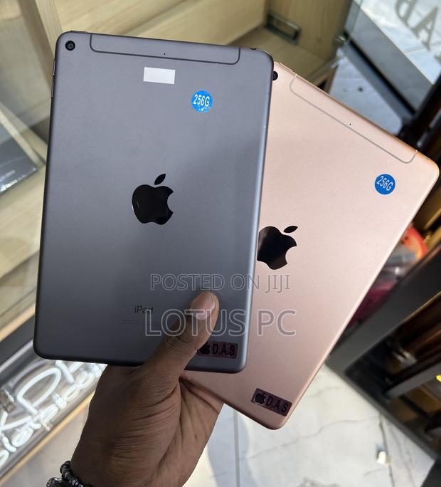 Apple iPad mini 5 256 GB Pink - main view