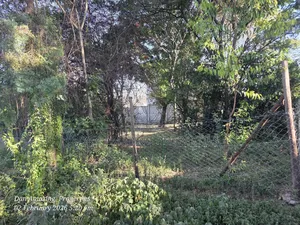 1/4 Acre in Ngong Olkeri for Sale Ideal for Residential Homes