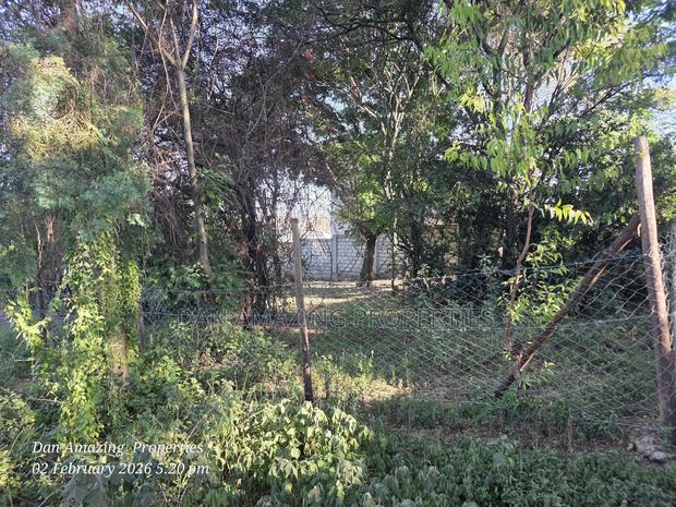 1/4 Acre in Ngong Olkeri for Sale Ideal for Residential Homes - thumbnail 3
