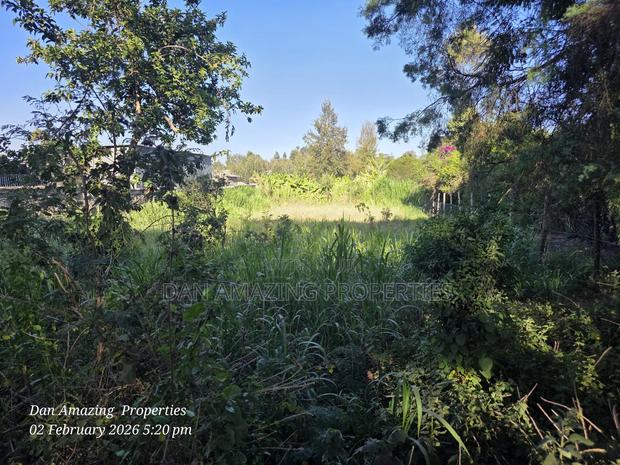 1/4 Acre in Ngong Olkeri for Sale Ideal for Residential Homes - thumbnail 4