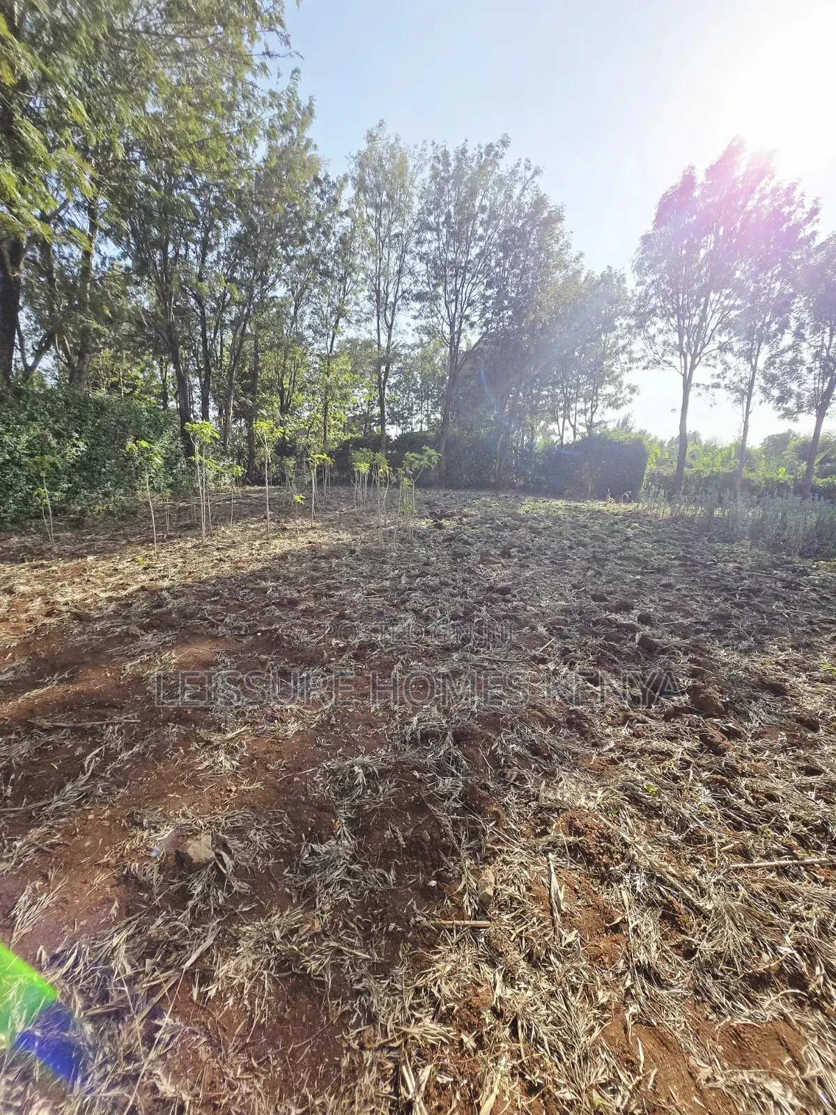 Prime Residential Plots in Ngong