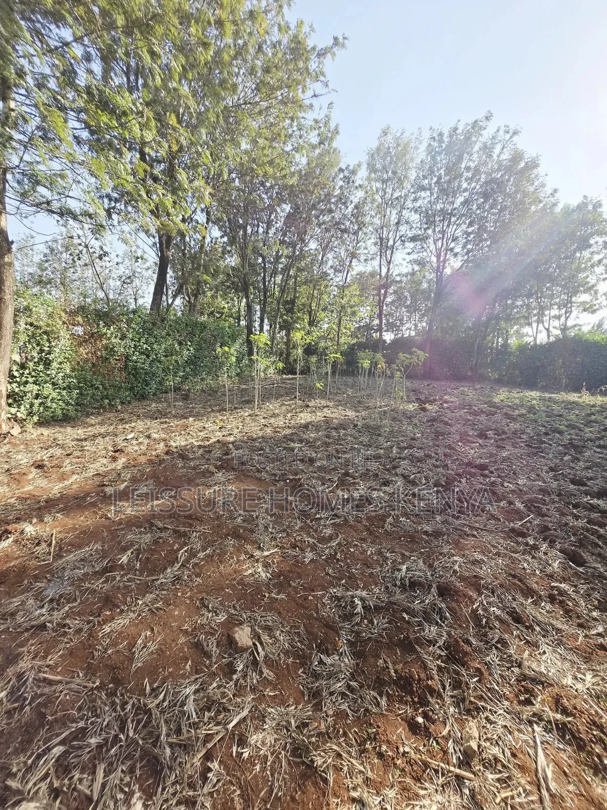 Prime Residential Plots in Ngong