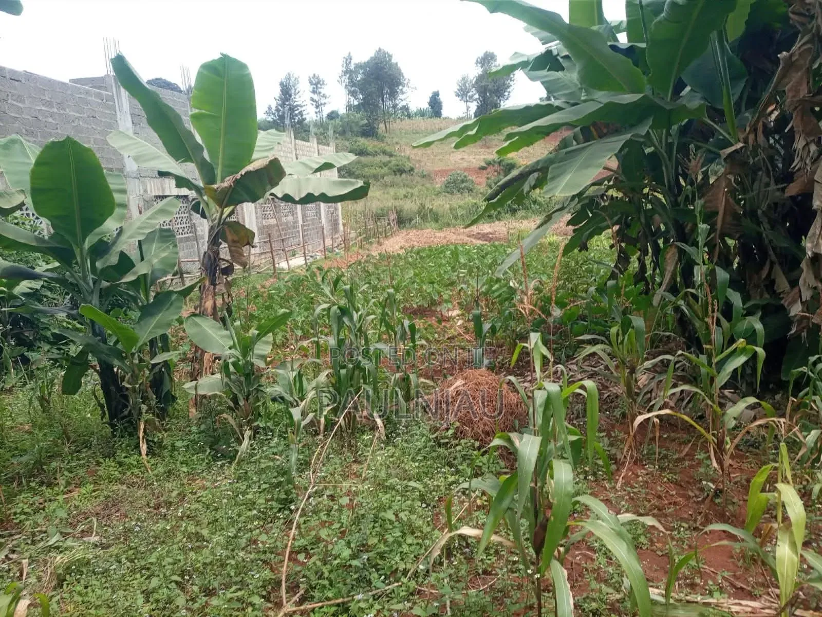 Land on Sale. At Muchatha Near Quickmart Supermarket