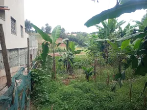 Land on Sale. At Muchatha Near Quickmart Supermarket