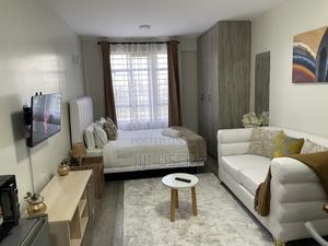 Furnished 1bdrm Bedsitter in 24 Apart, Ruaka for rent