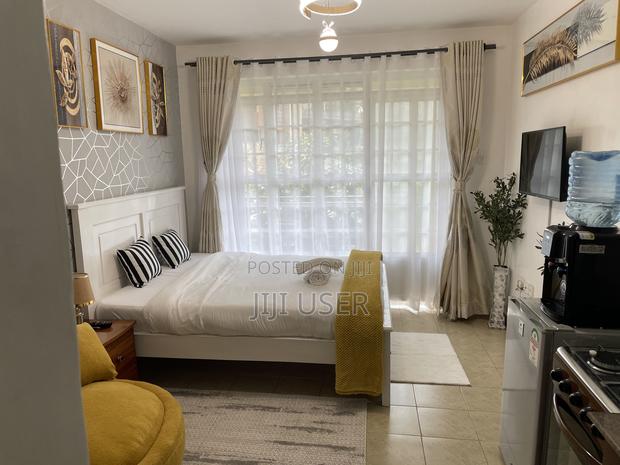 Furnished 1bdrm Bedsitter in Ruaka for rent - thumbnail 9