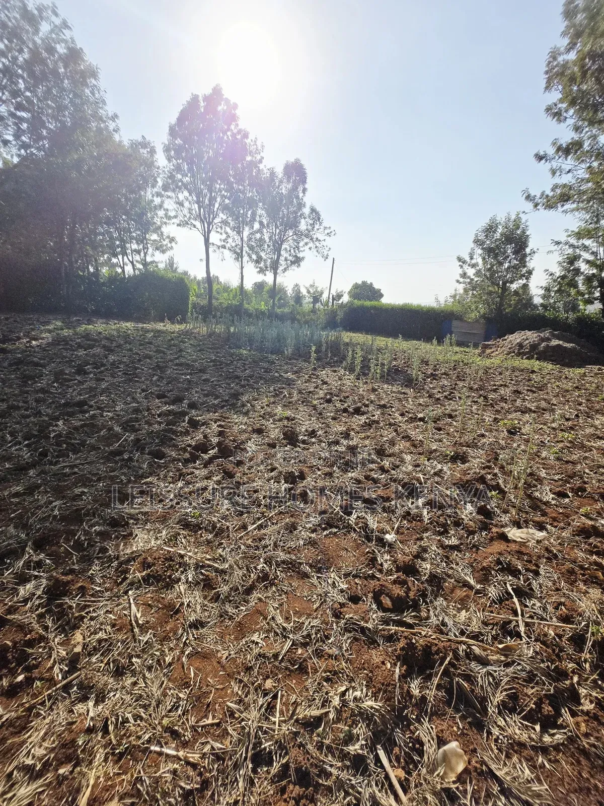 Prime Residential Plots in Kibiku, Ngong