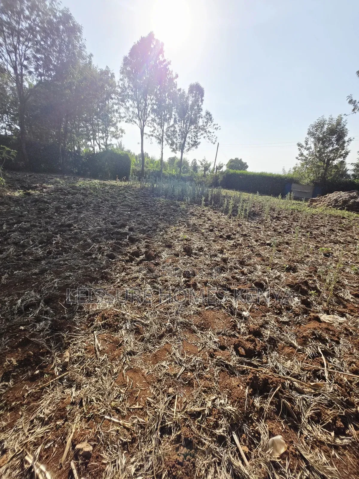 Prime Residential Plots in Kibiku, Ngong