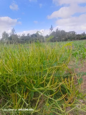 1acre Land
