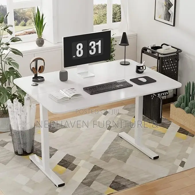 Professional Sit-Stand Desk – Home Office Use