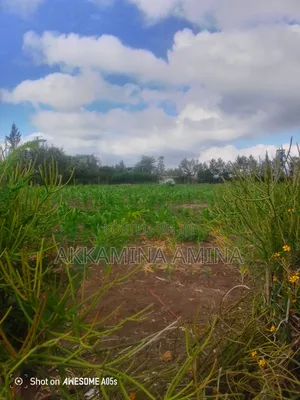1acre Land