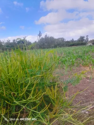 1acre Land