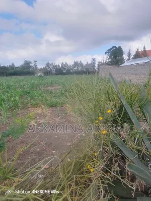 1acre Land