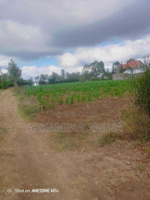 1acre Land - thumbnail 6