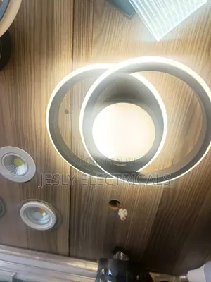 Modern Led Ceiling Light Fixture
