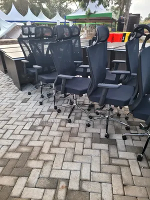 Executive Orthopedic Chairs