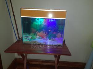 Aquarium on Sale
