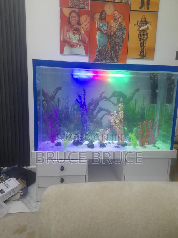 New Aquarium - thumbnail 3