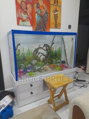 New Aquarium - main view