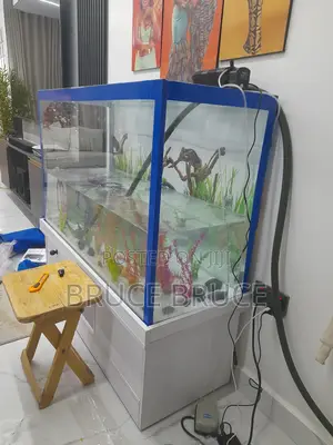 New Aquarium