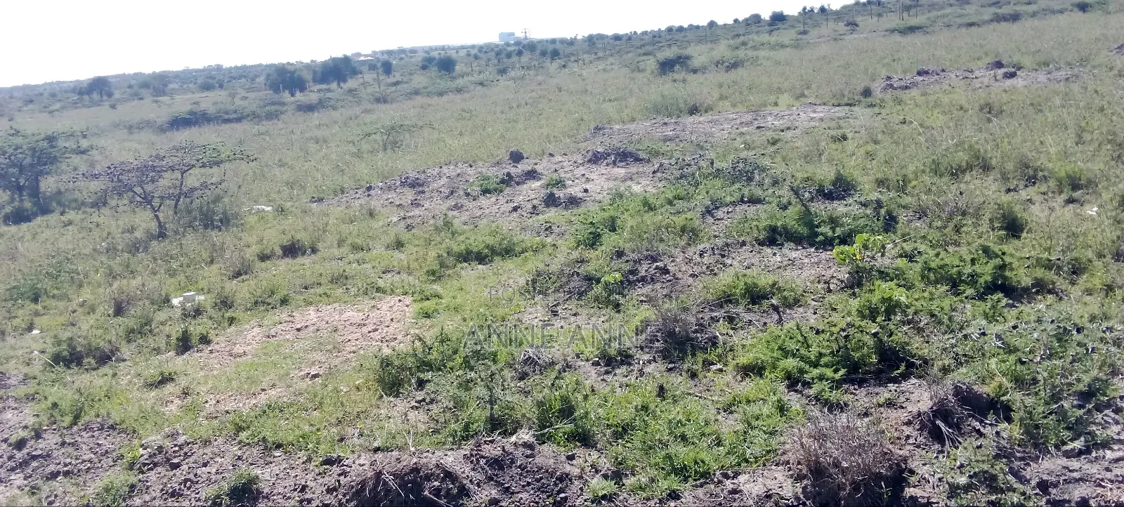 Joska Affordable Plots For Sale