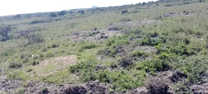 Joska Affordable Plots For Sale
