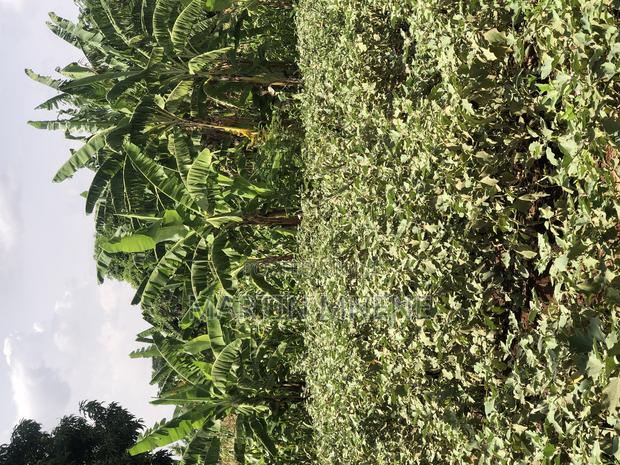 Available on Site Visit - thumbnail 3