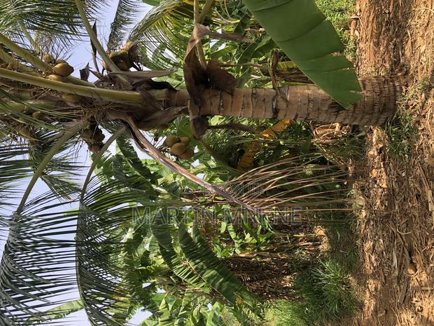 Available on Site Visit - thumbnail 4