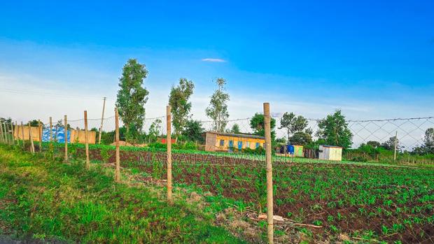 Commercial Plots in Makutano(Sagana) - thumbnail 3