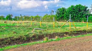 Commercial Plots in Makutano(Sagana) - thumbnail 2