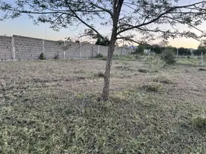 Prime Land on Sale in Kitengela 1/8 (50*100) 500m to Namanga Road