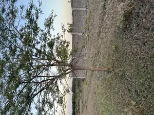 Prime Land on Sale in Kitengela 1/8 (50*100) 500m to Namanga Road